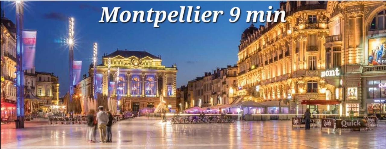 ז'וביניה Logement Independant "Les Coquelicots", Terrasse Proche Des Plages Et Montpellier מראה חיצוני תמונה